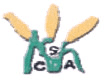 logo-csa-osa